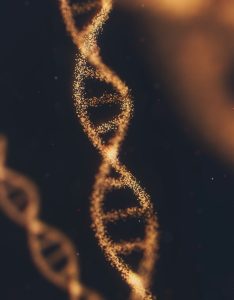 Hyperparathyroïdie primaire et génétique : NEM1, NEM2A, CDC73 — indications du test génétique, formes héréditaires et conseil génétique selon le consensus SFE-AFCE-SFMN 2024