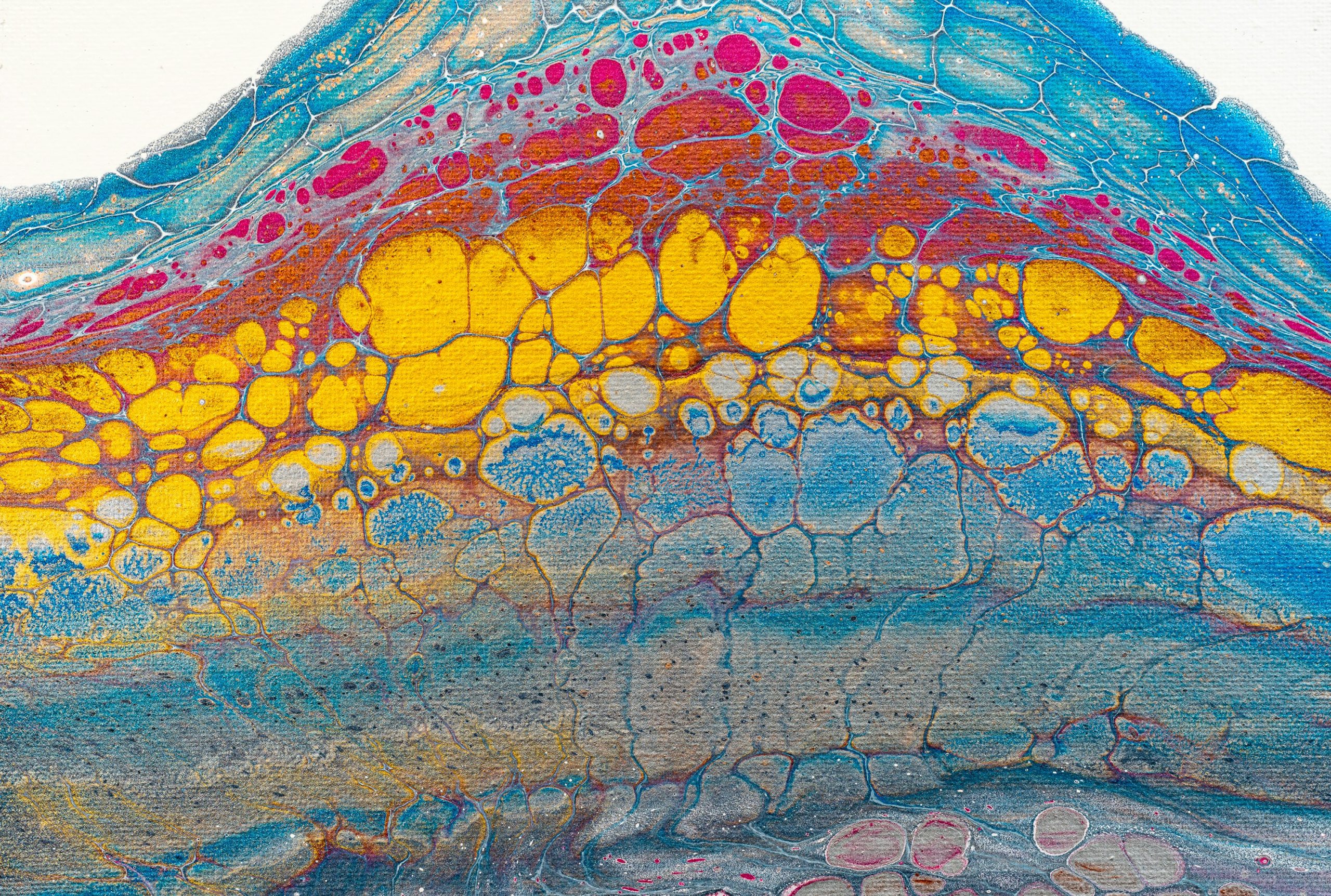 Cellules